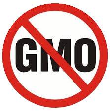 Zdjęcie: Informacja dla rolników w sprawie upraw GMO
